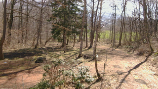 長野県菅平高原 ゆたか山荘 坂上 2026/04/11 08:45