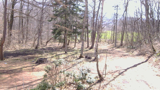 長野県菅平高原 ゆたか山荘 坂上 2026/04/11 09:00