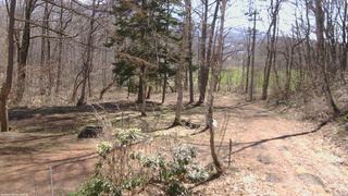 長野県菅平高原 ゆたか山荘 坂上 2026/04/11 09:30