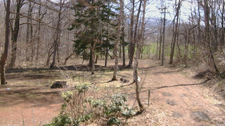 長野県菅平高原 ゆたか山荘 坂上 2026/04/11 10:00