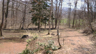 長野県菅平高原 ゆたか山荘 坂上 2026/04/11 10:15