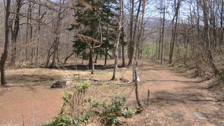 長野県菅平高原 ゆたか山荘 坂上 2026/04/11 11:15