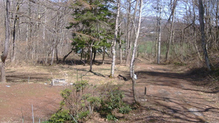 長野県菅平高原 ゆたか山荘 坂上 2026/04/11 13:30