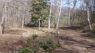 長野県菅平高原 ゆたか山荘 坂上 2026/04/11 14:30