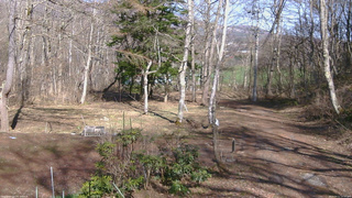 長野県菅平高原 ゆたか山荘 坂上 2026/04/11 14:45