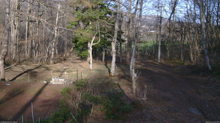 長野県菅平高原 ゆたか山荘 坂上 2026/04/11 16:30
