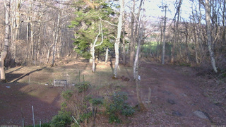 長野県菅平高原 ゆたか山荘 坂上 2026/04/11 16:45