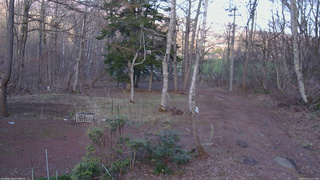 長野県菅平高原 ゆたか山荘 坂上 2026/04/11 17:15