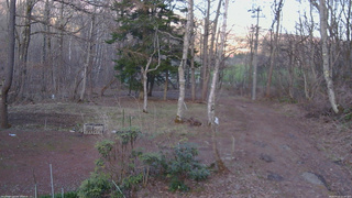 長野県菅平高原 ゆたか山荘 坂上 2026/04/11 17:30