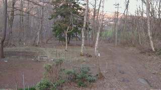 長野県菅平高原 ゆたか山荘 坂上 2026/04/11 18:00