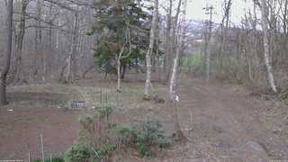 長野県菅平高原 ゆたか山荘 坂上 2026/04/11 18:15