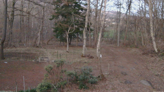 長野県菅平高原 ゆたか山荘 坂上 2026/04/11 18:30