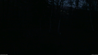 長野県菅平高原 ゆたか山荘 坂上 2026/04/11 18:45