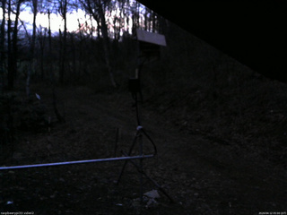 長野県菅平高原 ゆたか山荘 南側 2026/04/12 05:00