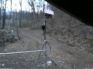 長野県菅平高原 ゆたか山荘 南側 2026/04/12 05:15