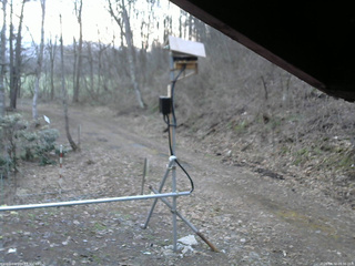 長野県菅平高原 ゆたか山荘 南側 2026/04/12 05:30