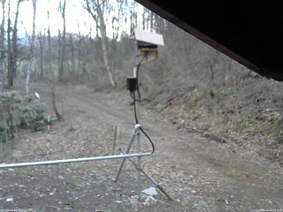 長野県菅平高原 ゆたか山荘 南側 2026/04/12 05:45