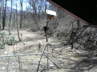 長野県菅平高原 ゆたか山荘 南側 2026/04/12 10:45