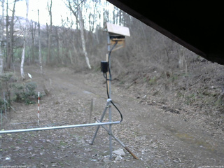 長野県菅平高原 ゆたか山荘 南側 2026/04/12 17:45