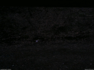 長野県菅平高原 ゆたか山荘 東側(坂下) 2026/04/12 05:00