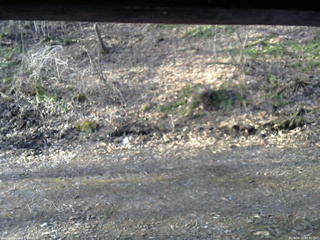 長野県菅平高原 ゆたか山荘 東側(坂下) 2026/04/12 06:30