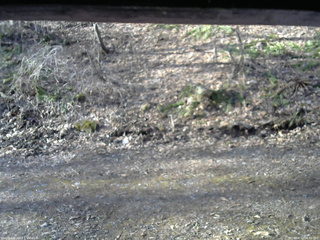 長野県菅平高原 ゆたか山荘 東側(坂下) 2026/04/12 06:45
