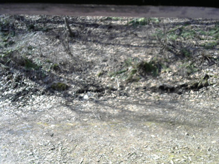 長野県菅平高原 ゆたか山荘 東側(坂下) 2026/04/12 08:00