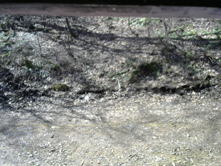 長野県菅平高原 ゆたか山荘 東側(坂下) 2026/04/12 08:30