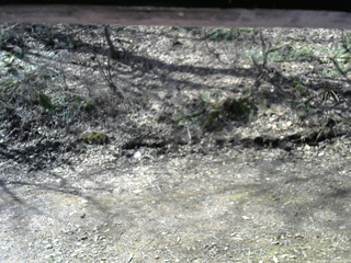 長野県菅平高原 ゆたか山荘 東側(坂下) 2026/04/12 08:45