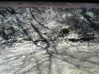 長野県菅平高原 ゆたか山荘 東側(坂下) 2026/04/12 09:45