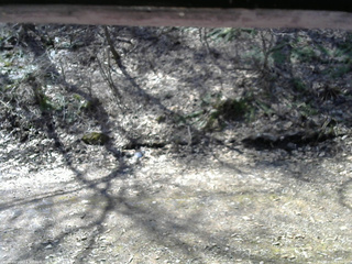 長野県菅平高原 ゆたか山荘 東側(坂下) 2026/04/12 10:00