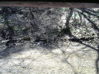 長野県菅平高原 ゆたか山荘 東側(坂下) 2026/04/12 10:30