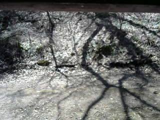 長野県菅平高原 ゆたか山荘 東側(坂下) 2026/04/12 11:00