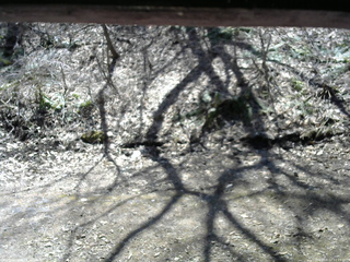 長野県菅平高原 ゆたか山荘 東側(坂下) 2026/04/12 11:15