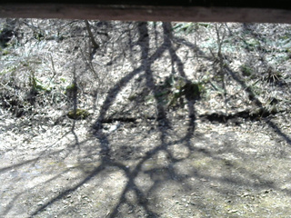 長野県菅平高原 ゆたか山荘 東側(坂下) 2026/04/12 11:30