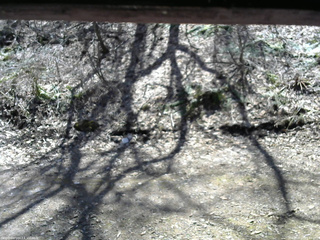 長野県菅平高原 ゆたか山荘 東側(坂下) 2026/04/12 11:45