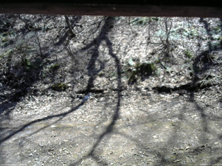 長野県菅平高原 ゆたか山荘 東側(坂下) 2026/04/12 12:15