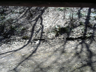 長野県菅平高原 ゆたか山荘 東側(坂下) 2026/04/12 12:30