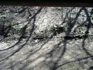 長野県菅平高原 ゆたか山荘 東側(坂下) 2026/04/12 12:45