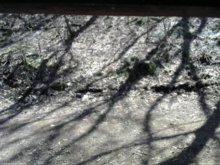 長野県菅平高原 ゆたか山荘 東側(坂下) 2026/04/12 13:00