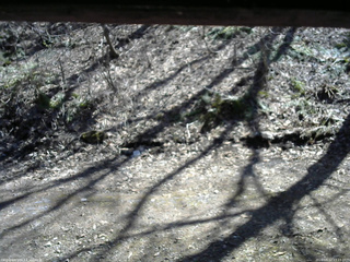 長野県菅平高原 ゆたか山荘 東側(坂下) 2026/04/12 13:15