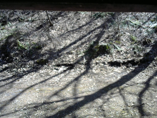 長野県菅平高原 ゆたか山荘 東側(坂下) 2026/04/12 13:30