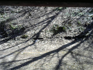 長野県菅平高原 ゆたか山荘 東側(坂下) 2026/04/12 13:45
