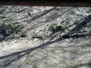 長野県菅平高原 ゆたか山荘 東側(坂下) 2026/04/12 14:15