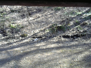 長野県菅平高原 ゆたか山荘 東側(坂下) 2026/04/12 14:45