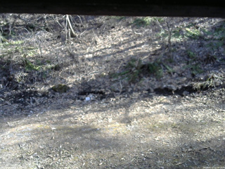 長野県菅平高原 ゆたか山荘 東側(坂下) 2026/04/12 15:30