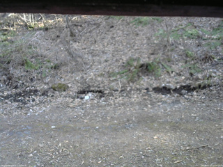 長野県菅平高原 ゆたか山荘 東側(坂下) 2026/04/12 16:30