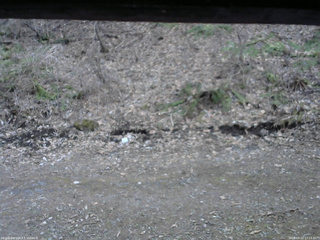 長野県菅平高原 ゆたか山荘 東側(坂下) 2026/04/12 17:15