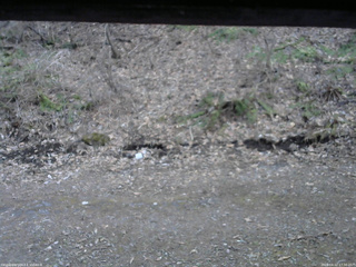 長野県菅平高原 ゆたか山荘 東側(坂下) 2026/04/12 17:30