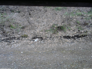 長野県菅平高原 ゆたか山荘 東側(坂下) 2026/04/12 17:45